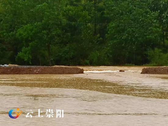 스포츠 토토 배트맨