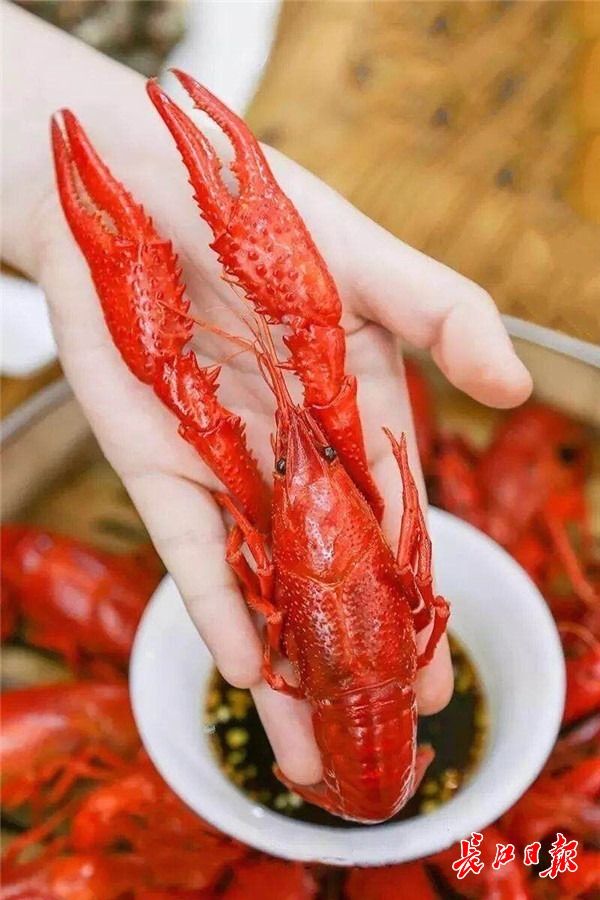 토토 사이트 순위