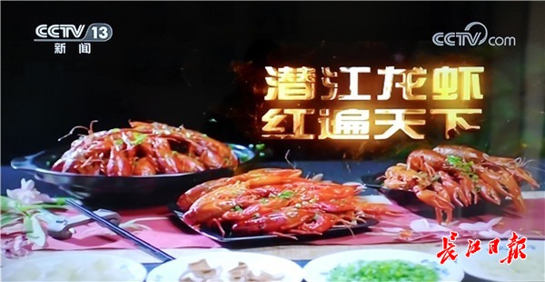 토토 사이트 순위 사이트 순위