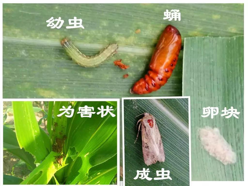 토토 꽁 머니