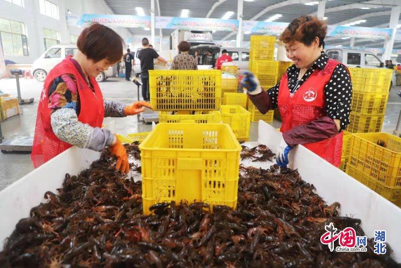 와이즈 스포츠 토토