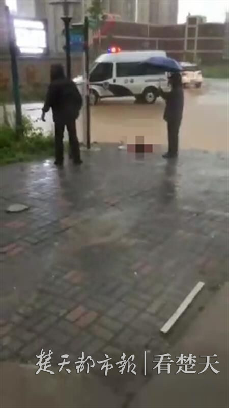 토토 월드 월드
