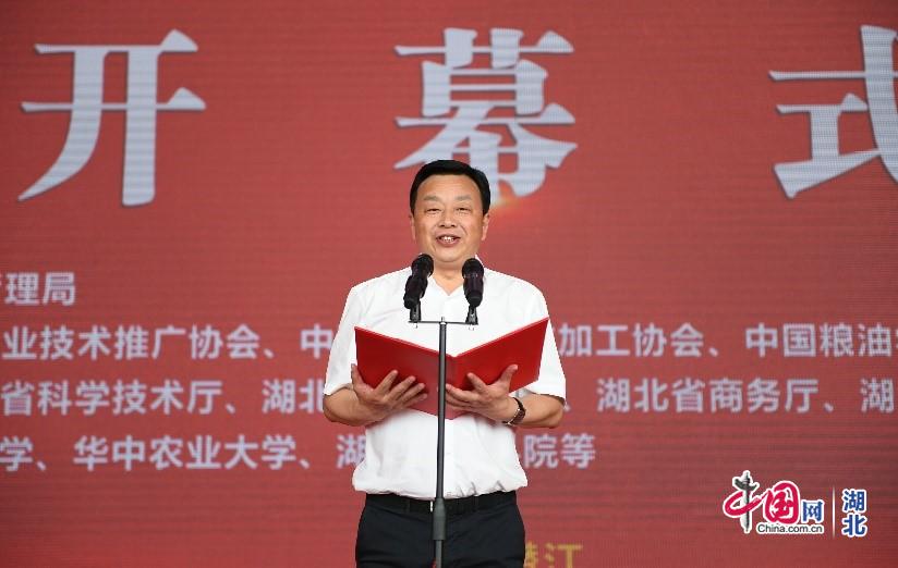 와이즈 토토 승무패