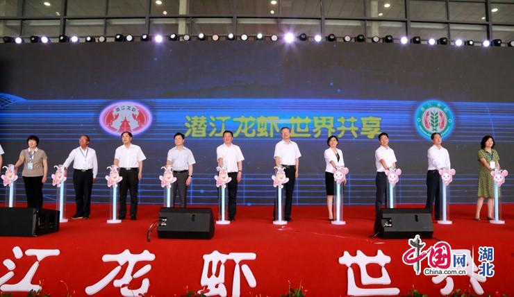 와이즈 스포츠 토토