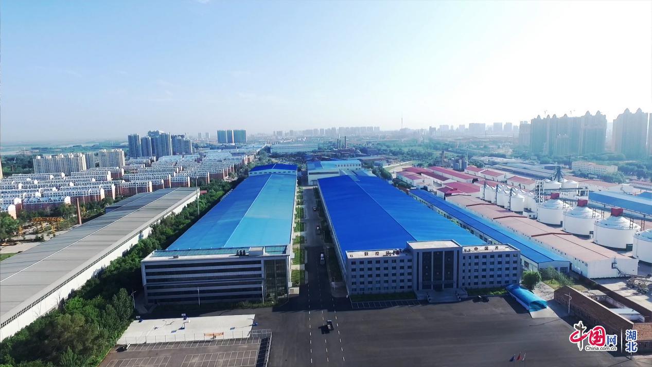 스포츠 토토 사이트