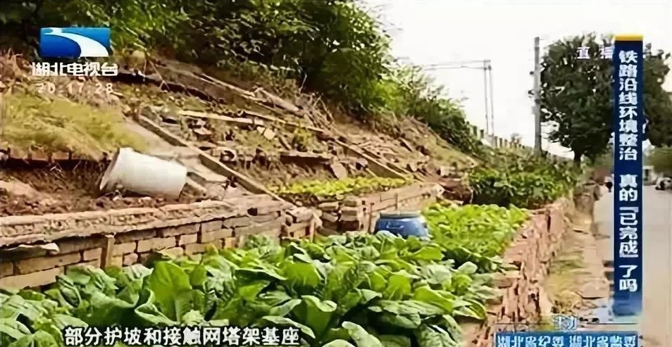 스포츠 스포츠 토토 배트맨 배트맨