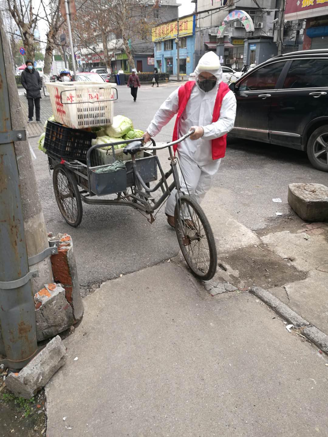 토토 랜드