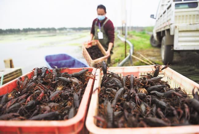 사설 토토