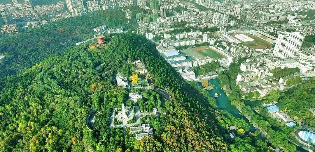 스포츠 토토 배트맨