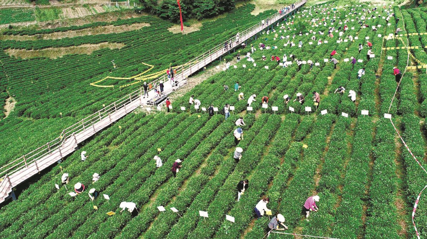 토토 결과 결과