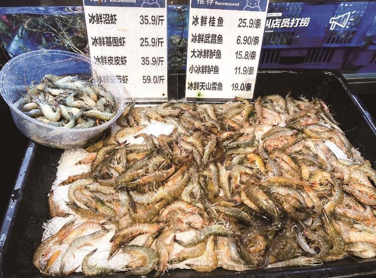 꽁 머니 꽁 머니 토토