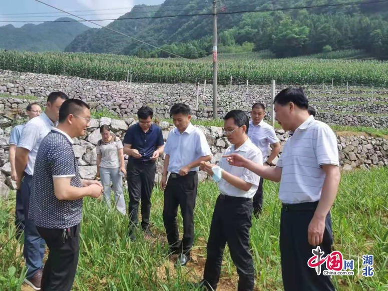 와이즈 토토 승무패