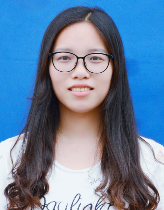 와이즈 스포츠 토토