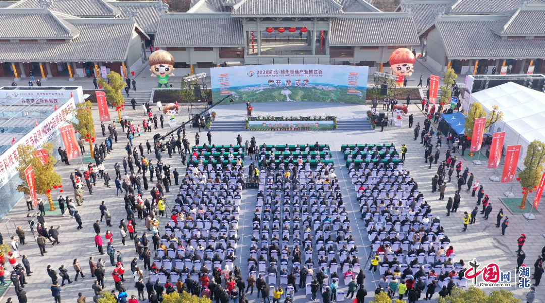 와이즈 토토 승무패
