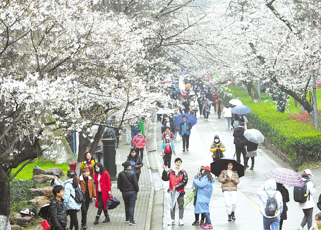 토토 사이트 순위 사이트 순위