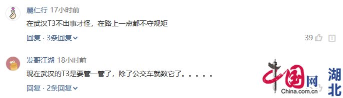 토토 랜드