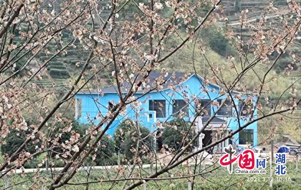 스포츠 토토 사이트