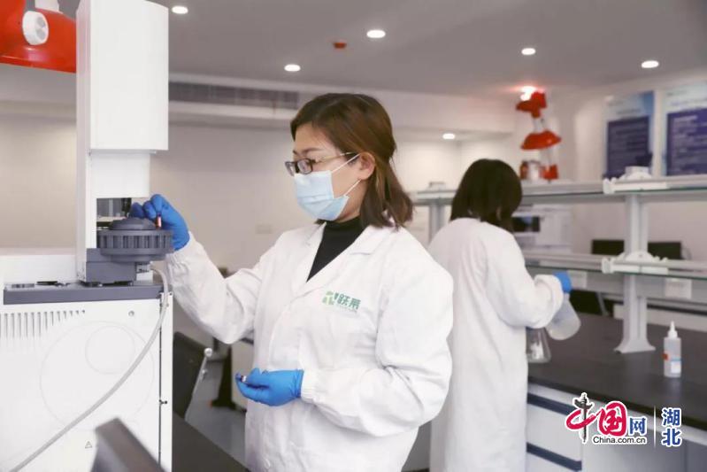 사설 토토