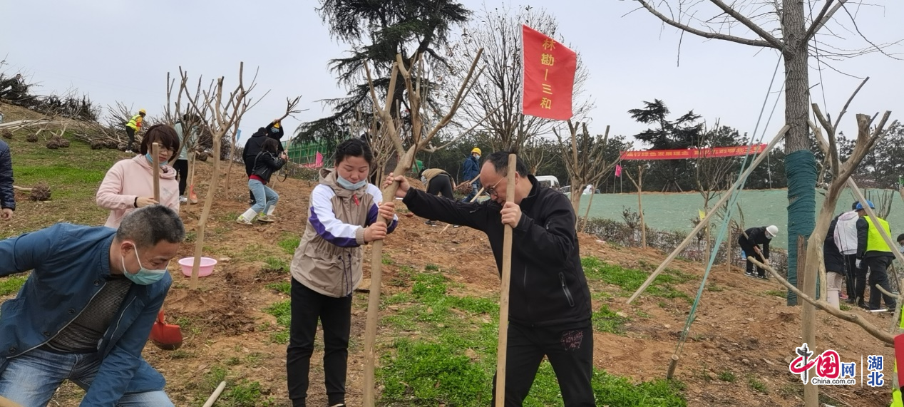 축구 토토 승무패