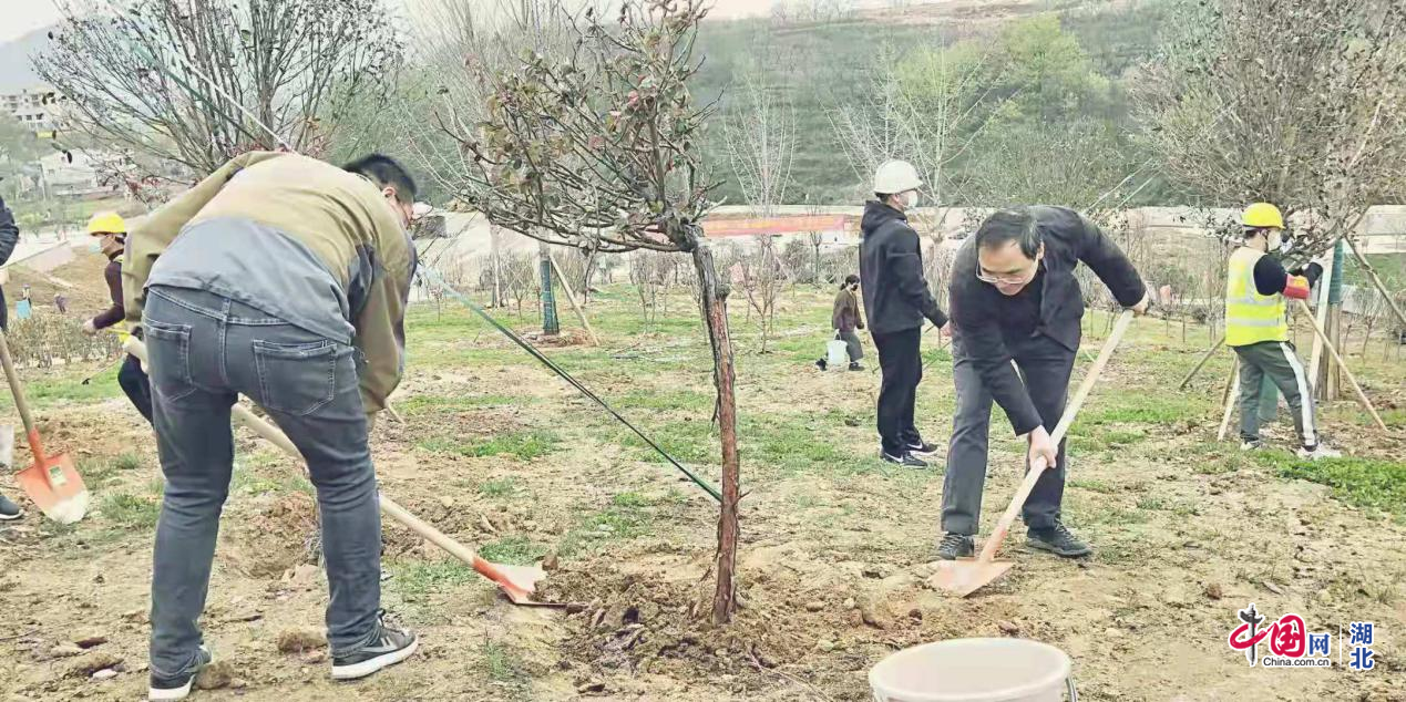 축구 토토 승무패