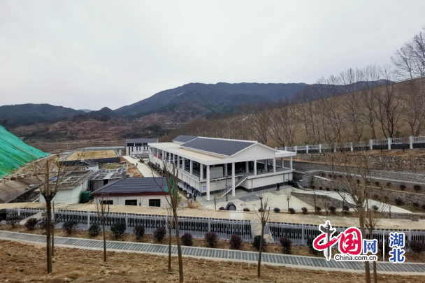 사설 토토