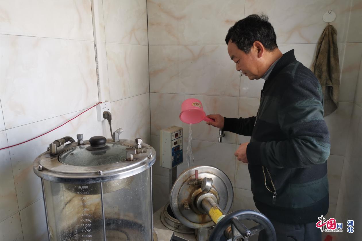 사설 토토