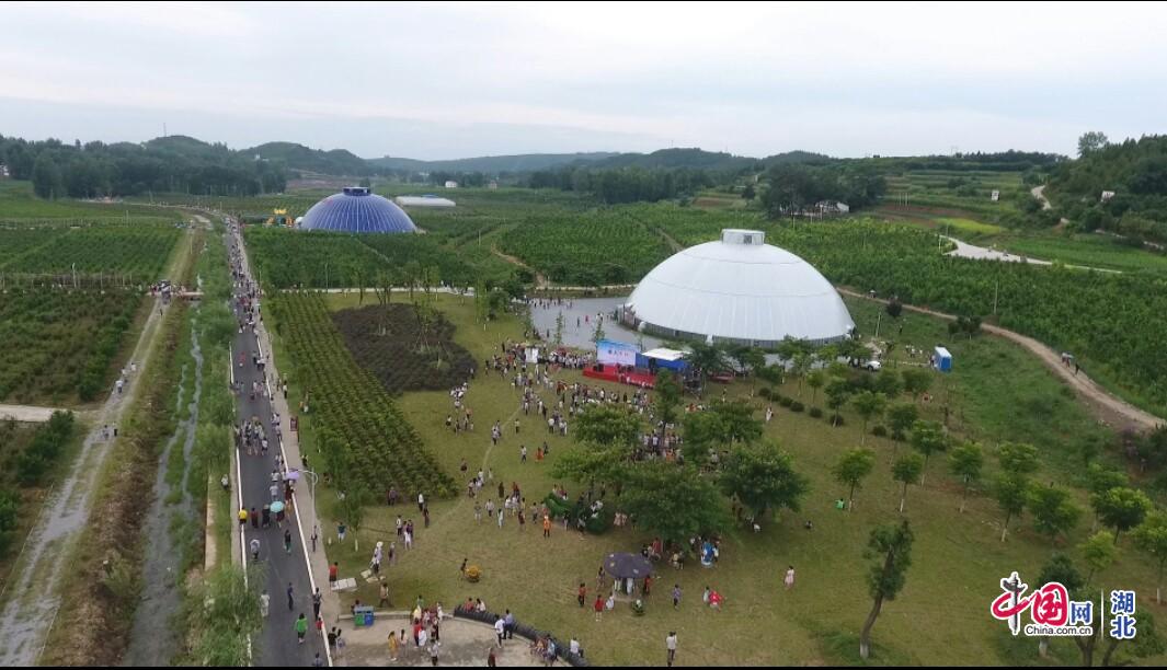 토토 꽁 머니