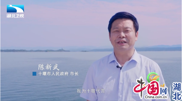 보스 보스 토토
