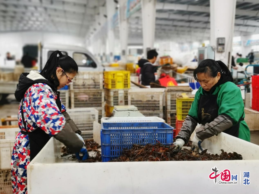 와이즈 토토 승무패