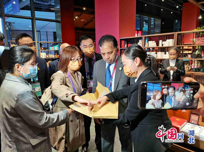 토토 결과