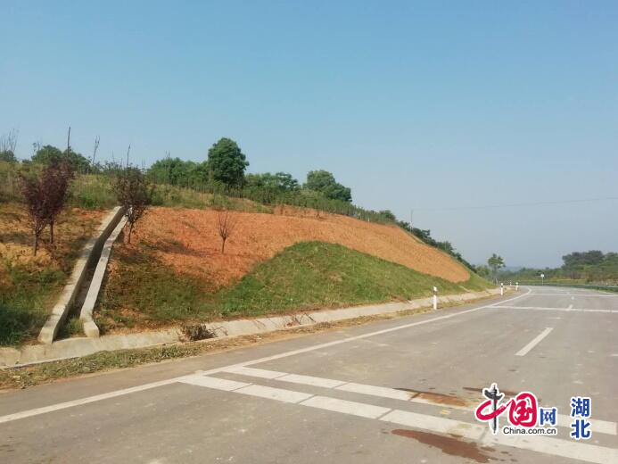 토토 랜드 랜드