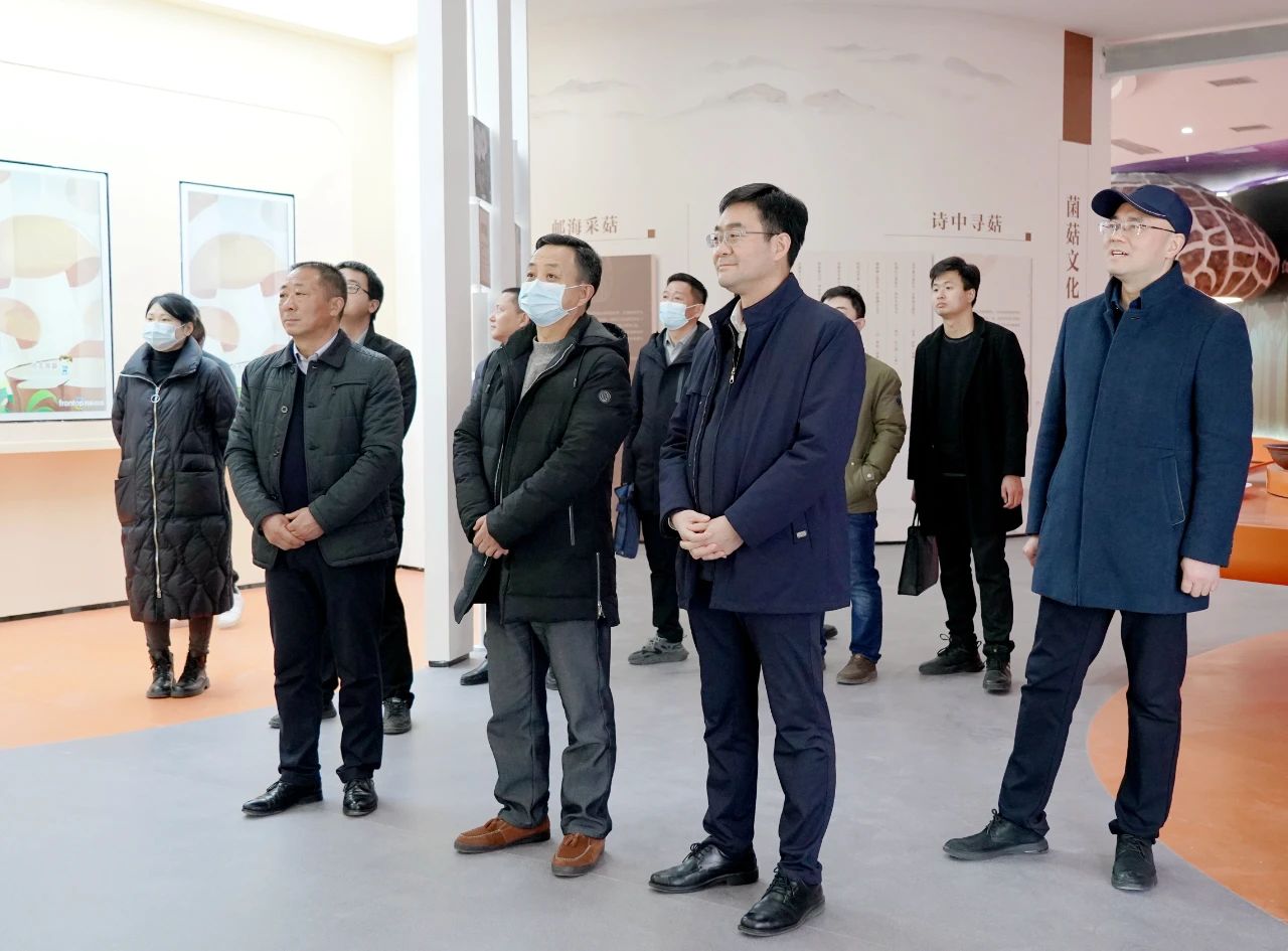 사설 사설 토토