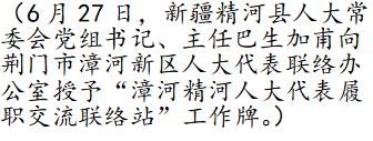 와이즈 토토 승무패