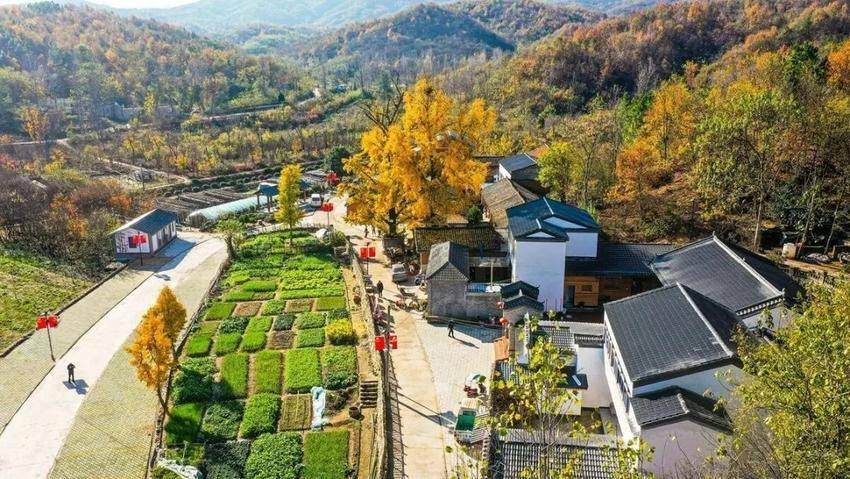 토토 월드