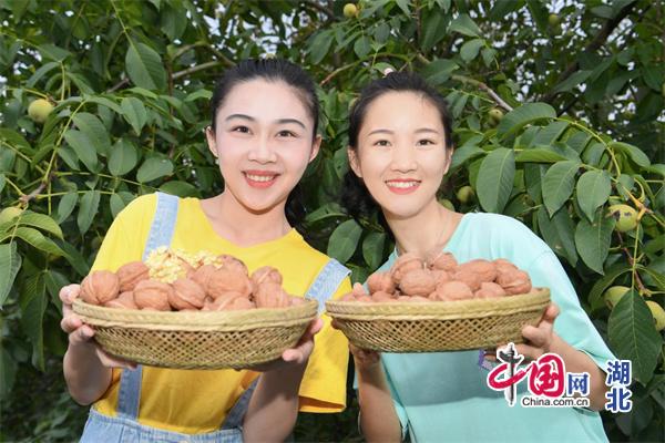 토토 월드