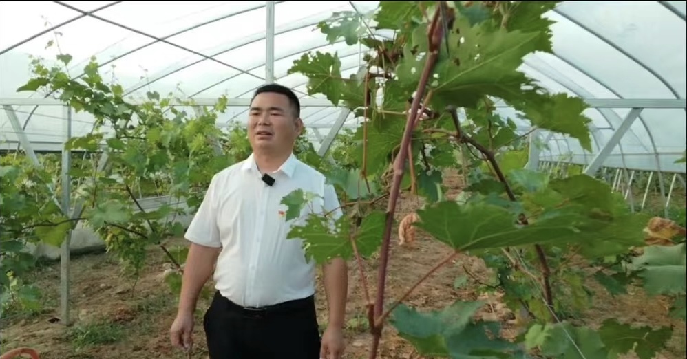 토토 랜드