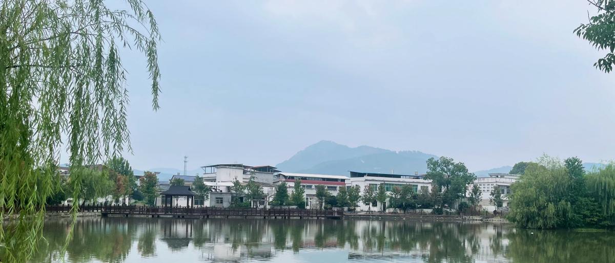 축구 토토 승무패