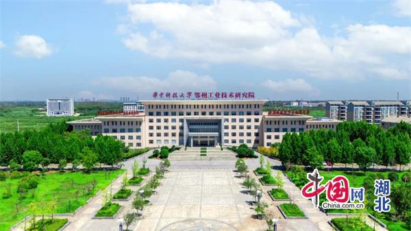 메이저 토토 사이트
