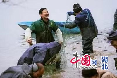 사설 사설 토토