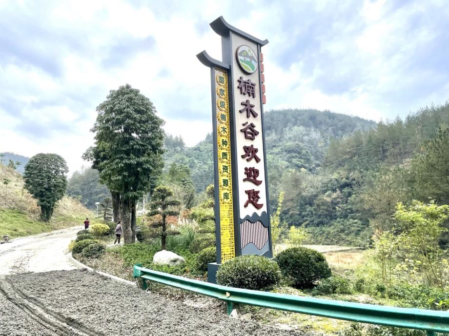 토토 꽁 머니 꽁 머니