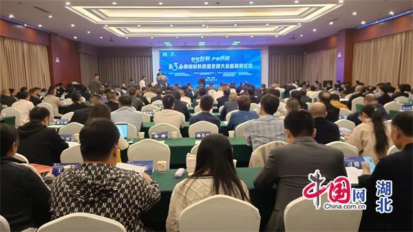 와이즈 스포츠 와이즈 스포츠 토토