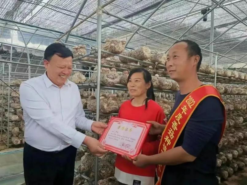 메이저 토토 사이트