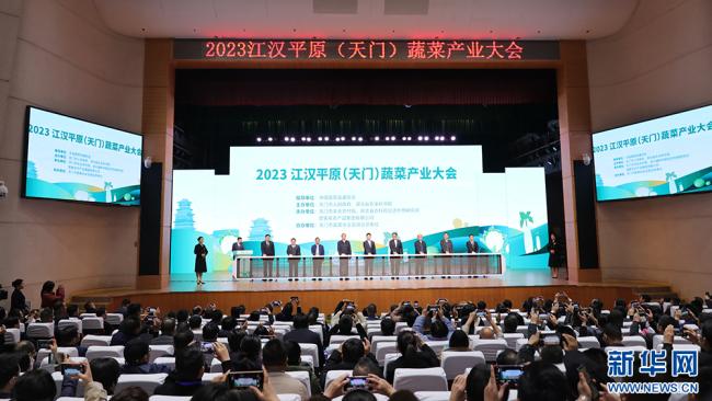 와이즈 스포츠 와이즈 스포츠 토토