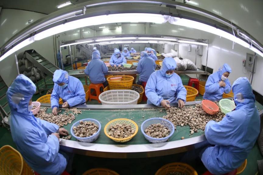 메이저 토토 사이트