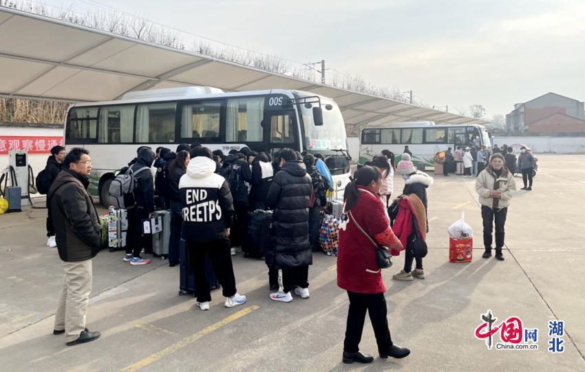 토토 랜드 랜드