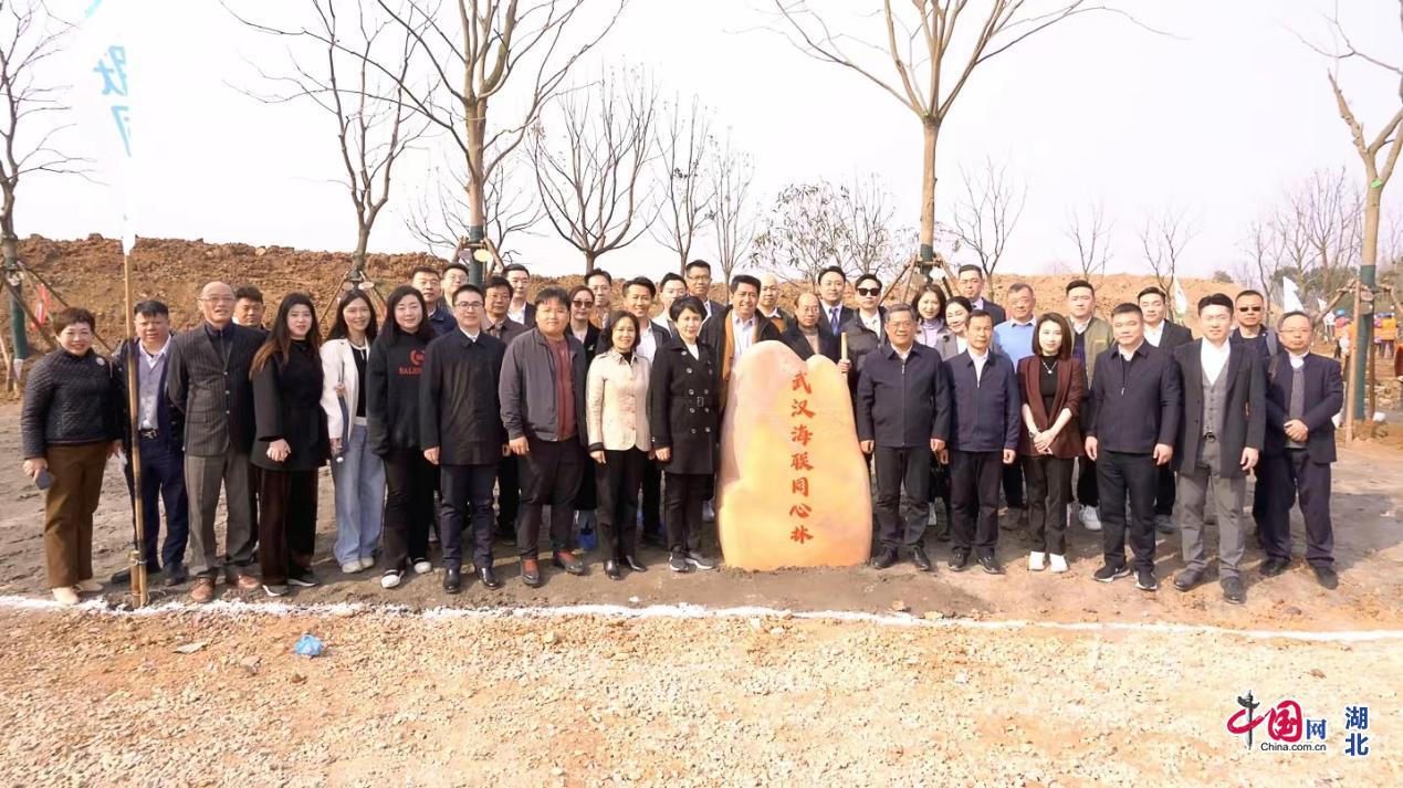 메이저 메이저 토토 사이트 사이트