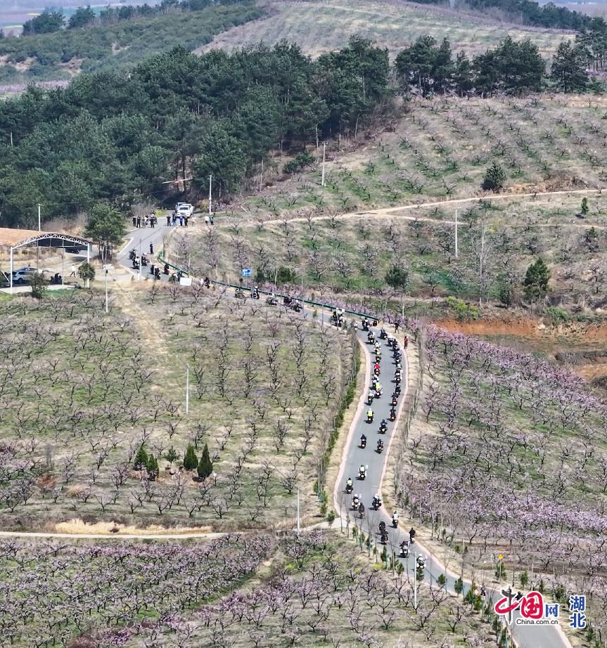 와이즈 스포츠 토토