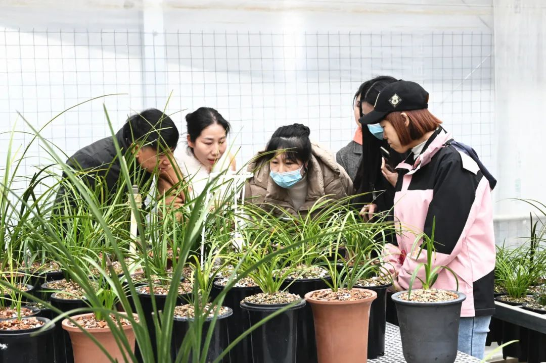 윈 토토