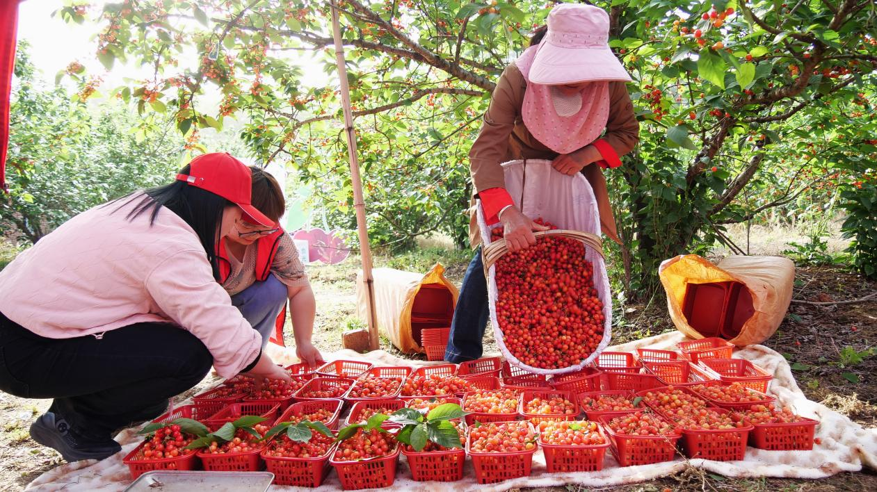 토토 결과