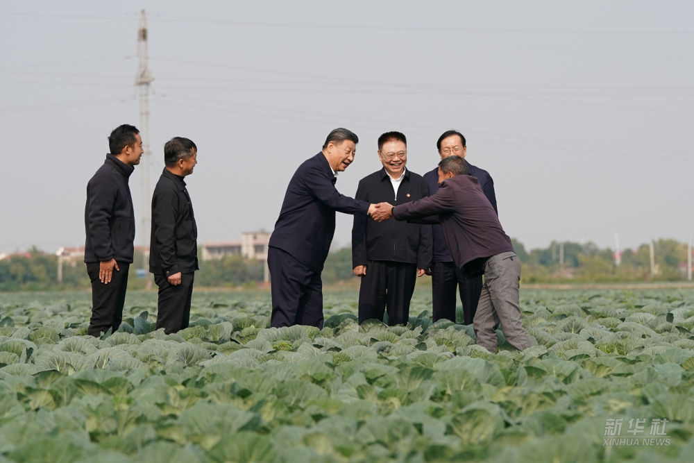 보스 토토